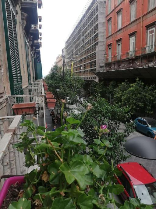 Capa E Coda In Centro Storico Apartamento *